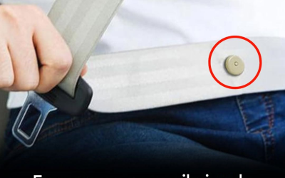 Sai a cosa serve quel piccolo pulsante sulla cintura di sicurezza? Scopri di più nei commenti!⬇️