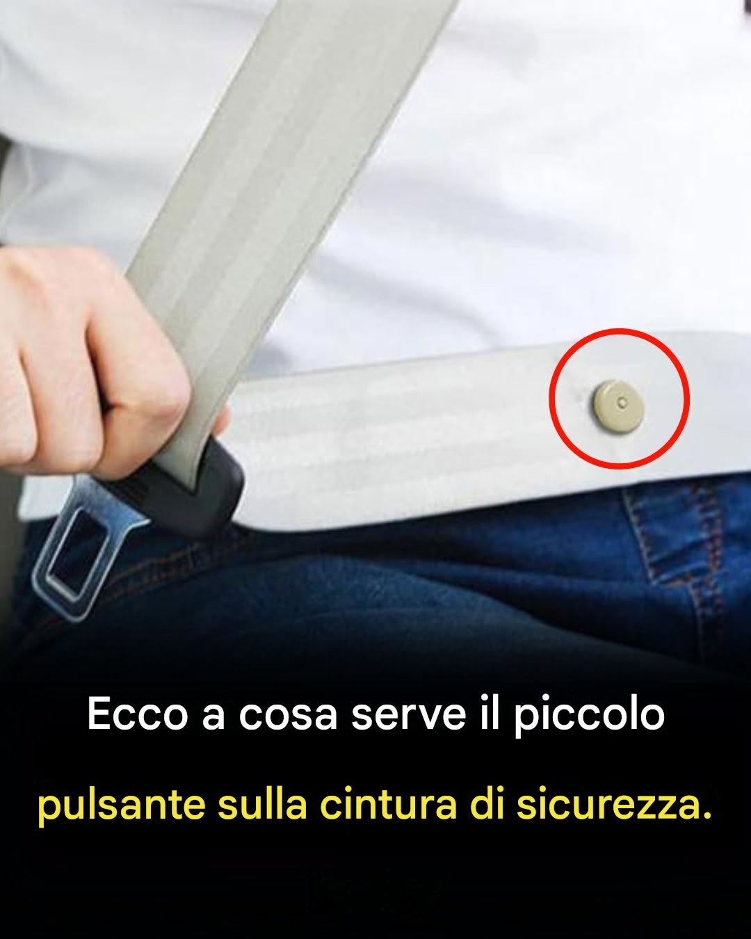 Sai a cosa serve quel piccolo pulsante sulla cintura di sicurezza? Scopri di più nei commenti!⬇️