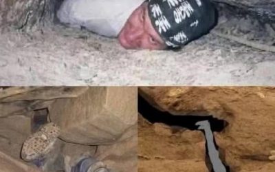 L’hanno trovato e hanno provato a provarlo, ma per… Vedi altro