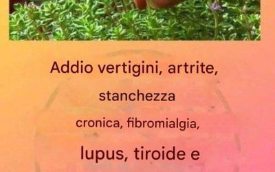 Questo è un vero e proprio “tè di Dio” in quanto cura l’artrite, il lupus, le vertigini, i problemi alla tiroide e la stanchezza cronica