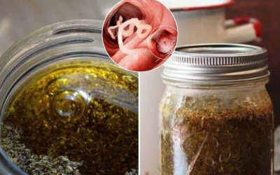 Come preparare l’olio di origano e a cosa serve comunemente.