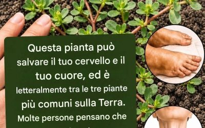 La pianta più potente del mondo…