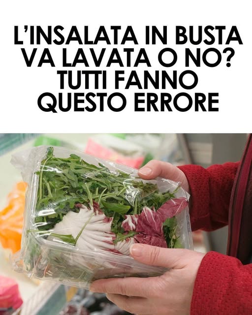 NON FARE MAI QUESTO ERRORE CON L’INSALATA IN BUSTA! Va lavata o no? Finalmente la verità: ecco cosa bisogna fare DAVVERO. Ti spiego⤵