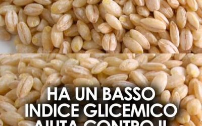 Questo è particolarmente adatto per ridurre il colesterolo e per mantenere sotto controllo i livelli di glicemia nel sangue ⬇