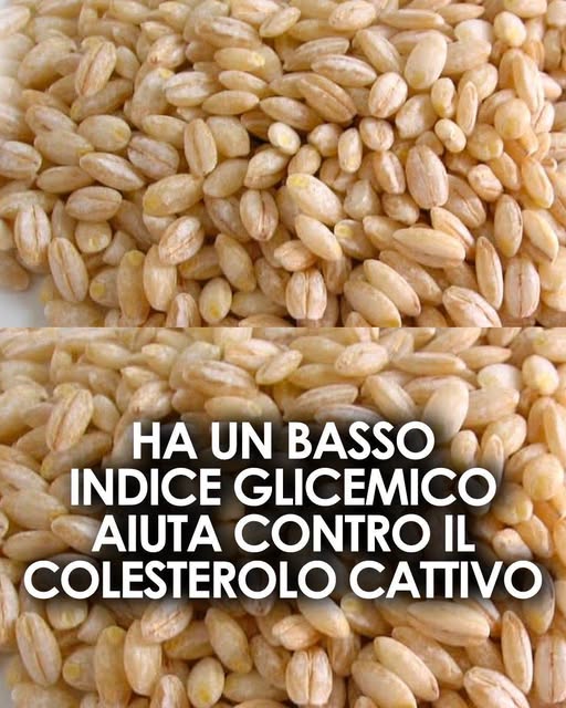 Questo è particolarmente adatto per ridurre il colesterolo e per mantenere sotto controllo i livelli di glicemia nel sangue ⬇