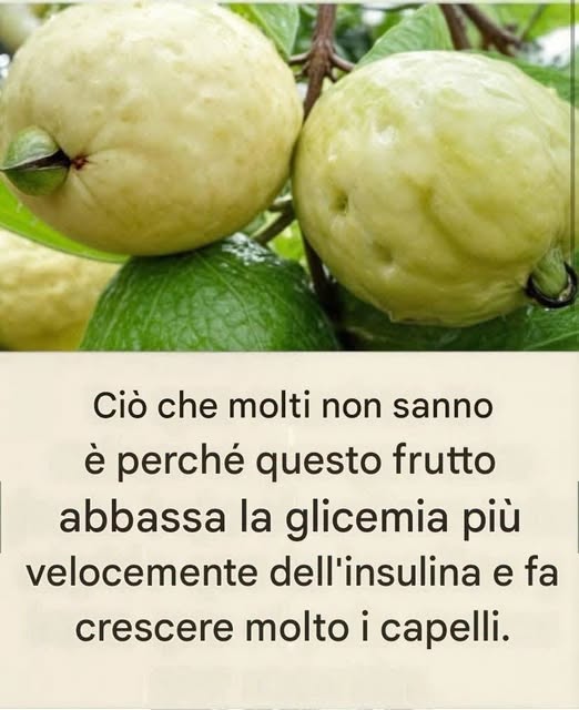 Se hai questo frutto in casa, hai un frutto che ti spiega il perché…💬