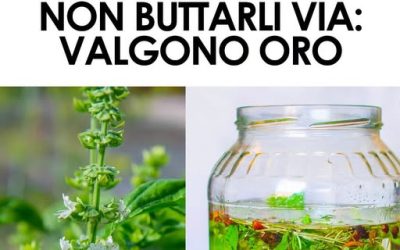 Molti non li usano così, ma sono davvero molto utili. Ti lascio i dettagli nel primo commento 👇