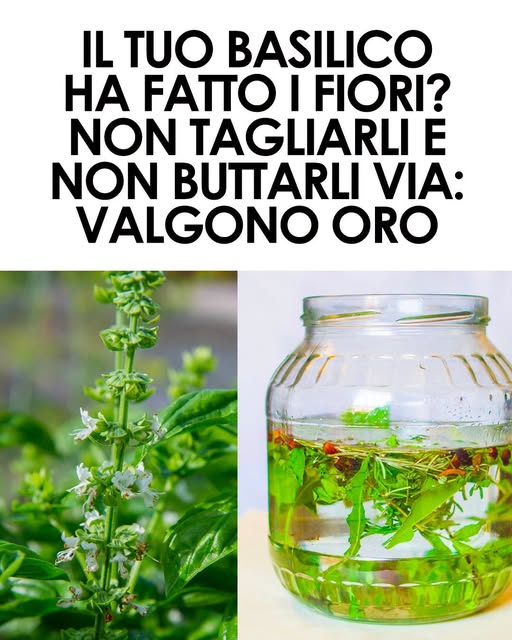 Molti non li usano così, ma sono davvero molto utili. Ti lascio i dettagli nel primo commento 👇