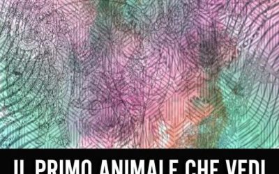 🧠 Test della personalità: sei intelligente e raggiungerai il Top se hai visto un… Altro…