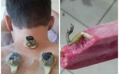 😳 Medici sotto choc e terrorizzati: il ragazzo ha p…Altro…