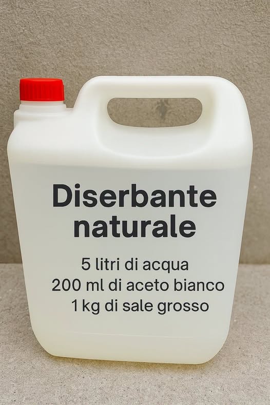 Questa è La Soluzione Naturale Contro le Erbacce: Ecco Come Eliminarle Senza Prodotti Chimici ⬇