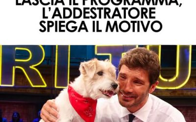 Gennarino non sarà nella nuova edizione di Affari Tuoi. L’addestratore Massimo Perla spiega perché il cane mascotte resterà a casa⬇️