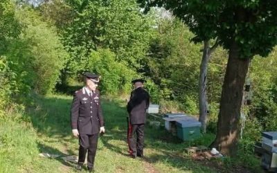 “Purtroppo è lui”. Trovato il corpo di Alex F…Altro…