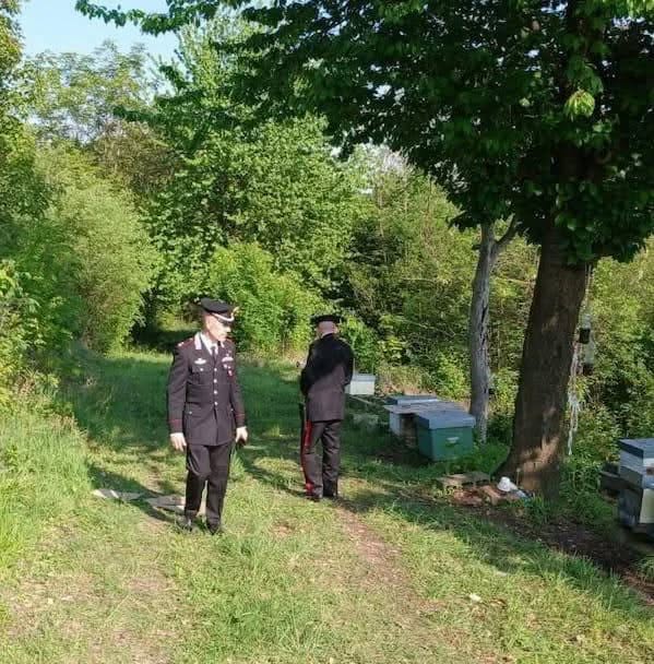 “Purtroppo è lui”. Trovato il corpo di Alex F…Altro…