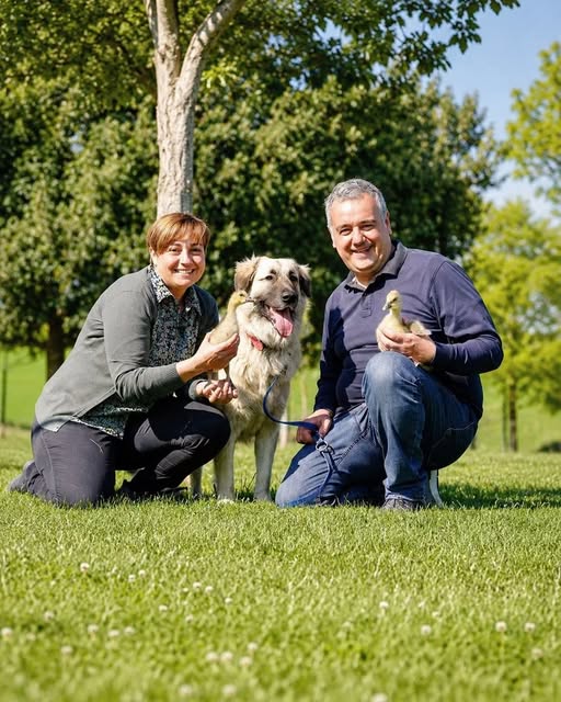 Benedetta e il marito, l’annuncio dopo l’adozione delle sorelline: “Son.. Altro…