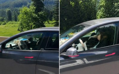 Madre si addormenta con i figli: l’auto guida da sola a…Altro…