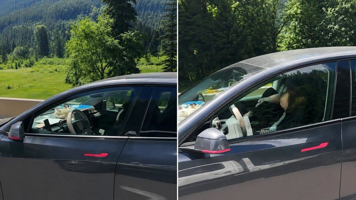 Madre si addormenta con i figli: l’auto guida da sola a…Altro…