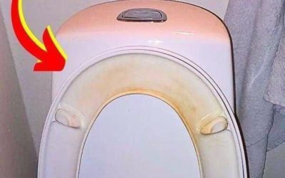 Il trucco per rimuovere le macchie gialle sul sedile del water