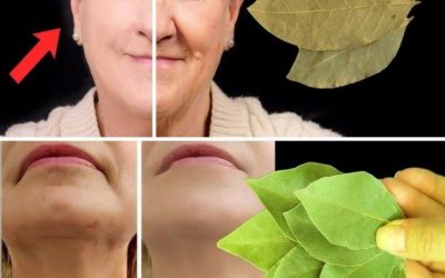 L’alloro è 100.000 volte più potente del Botox. Persino le settantenni possono liberarsi di tutte le rughe.