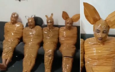 Scopre i ladri in casa e li concia così: “Ora vediamo se… (1 / 2)