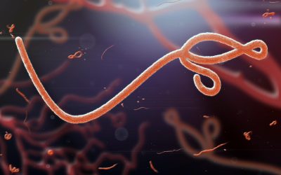 Dichiarata l’epidemia, ora il virus fa paura: 246 casi e 65 decessi, è allarme (1 / 2)