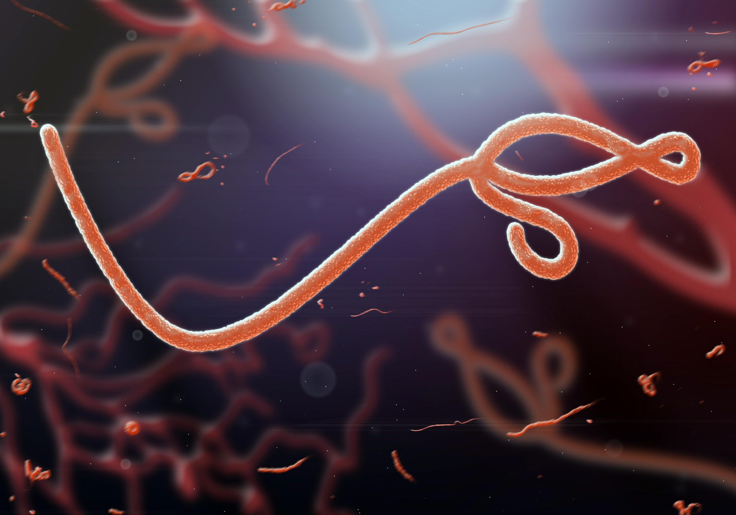 Dichiarata l’epidemia, ora il virus fa paura: 246 casi e 65 decessi, è allarme (1 / 2)