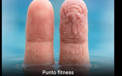 💧 Avete mai notato che le vostre dita si raggrinziscono dopo essere rimaste in acqua?