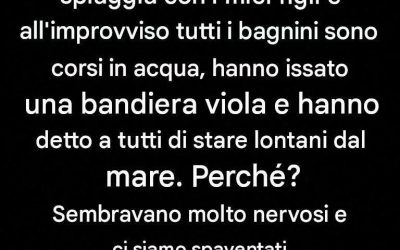 Avete visto una bandiera viola sulla spiaggia? Ecco cosa significa davvero e perché nessuno dovrebbe ignorarla.