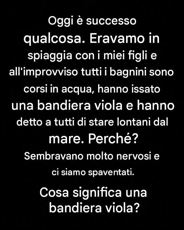 Avete visto una bandiera viola sulla spiaggia? Ecco cosa significa davvero e perché nessuno dovrebbe ignorarla.