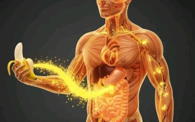 Mangiare banane la sera aumenta il tuo… Mostra altro