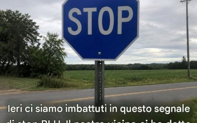 Il significato di un segnale di stop blu Scopri cosa significa davvero