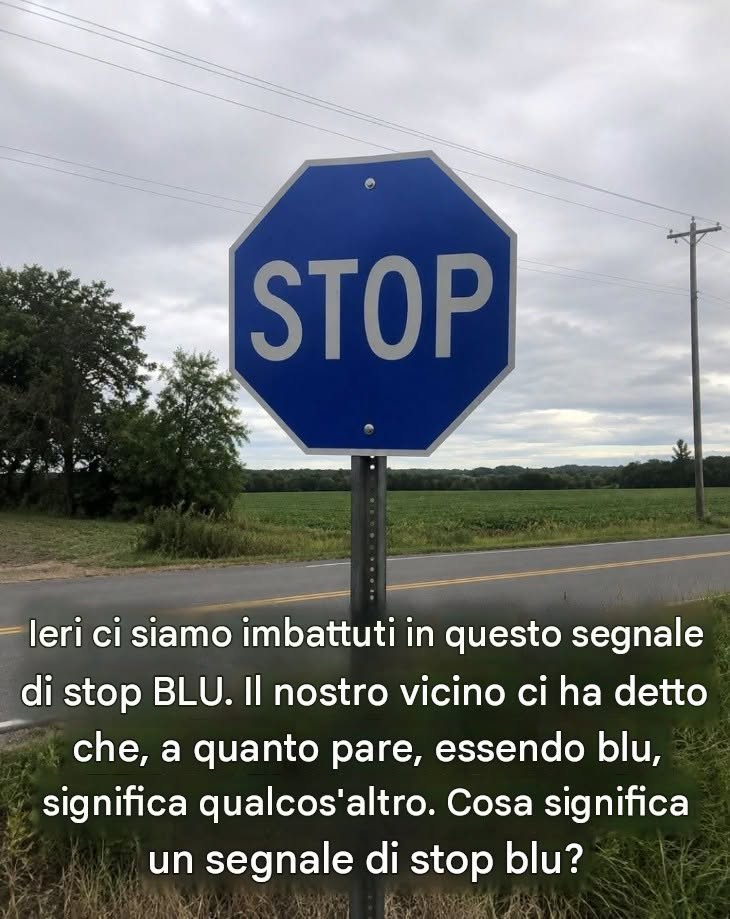 Il significato di un segnale di stop blu Scopri cosa significa davvero