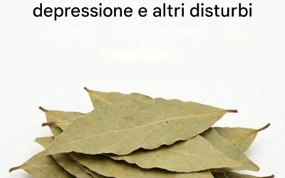 Una ricetta a base di foglie di alloro, tradizionalmente utilizzata per alleviare l’insonnia, il diabete, l’artrite, la cistite, i dolori addominali e i disturbi dell’umore.